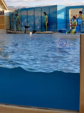 新江ノ島水族館に投稿された画像（2022/11/28）