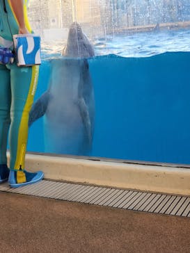 新江ノ島水族館に投稿された画像（2022/11/28）