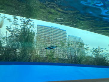 サンシャイン水族館に投稿された画像（2022/11/28）