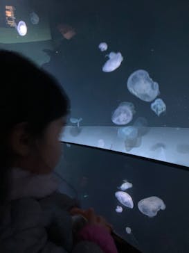 サンシャイン水族館に投稿された画像（2022/11/28）