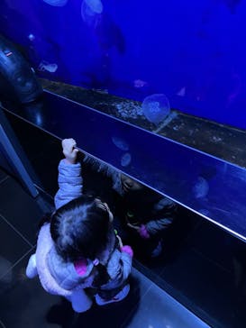 サンシャイン水族館に投稿された画像（2022/11/28）
