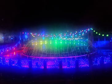 大阪府立花の文化園に投稿された画像（2022/11/28）