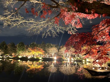 国営昭和記念公園 秋の夜散歩に投稿された画像（2022/11/28）