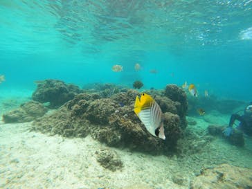 沖縄マリンサービス碧に投稿された画像（2022/11/28）