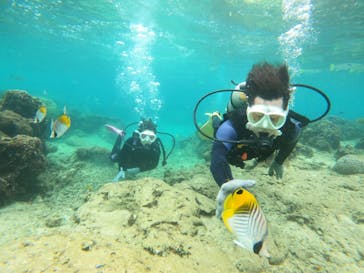 沖縄マリンサービス碧に投稿された画像（2022/11/28）