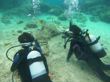 沖縄マリンサービス碧に投稿された画像（2022/11/28）