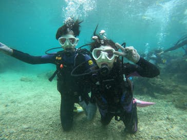 沖縄マリンサービス碧に投稿された画像（2022/11/28）