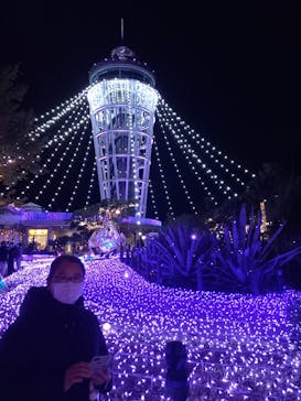 江の島シーキャンドルに投稿された画像（2022/11/28）