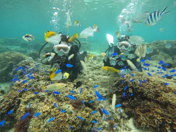 武藤潜水に投稿された画像（2022/11/28）