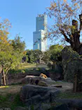 天王寺動物園に投稿された画像（2022/11/28）