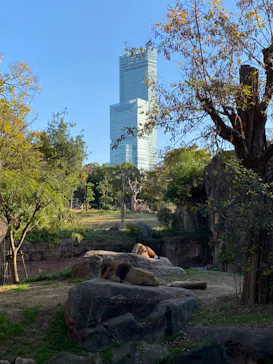 天王寺動物園に投稿された画像（2022/11/28）