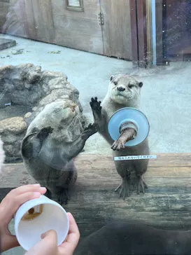 横浜・八景島シーパラダイスに投稿された画像（2022/11/28）