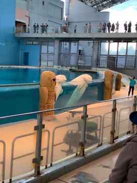 横浜・八景島シーパラダイスに投稿された画像（2022/11/28）