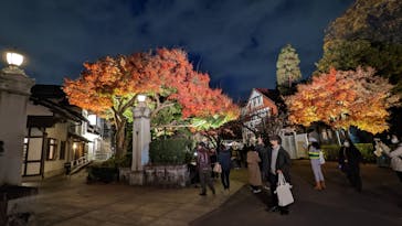 江戸東京たてもの園に投稿された画像（2022/11/28）