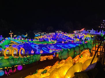 伊豆ぐらんぱる公園に投稿された画像（2022/11/28）