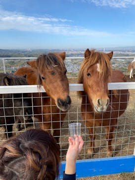 ワールド牧場に投稿された画像（2022/11/28）