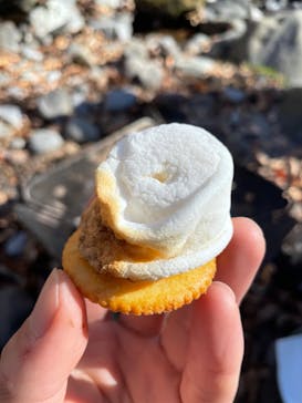 八ヶ岳アウトドア・アクティヴィティーズに投稿された画像（2022/11/28）