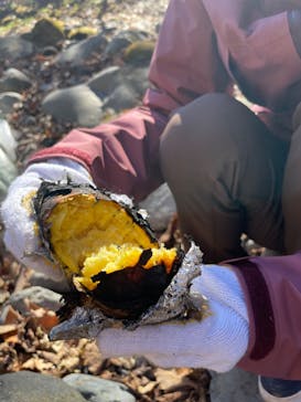 八ヶ岳アウトドア・アクティヴィティーズに投稿された画像（2022/11/28）