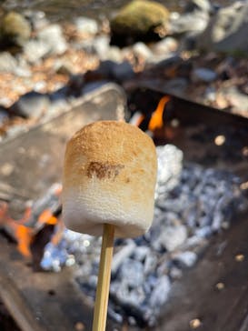 八ヶ岳アウトドア・アクティヴィティーズに投稿された画像（2022/11/28）