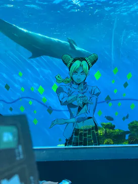 横浜・八景島シーパラダイスに投稿された画像（2022/11/28）