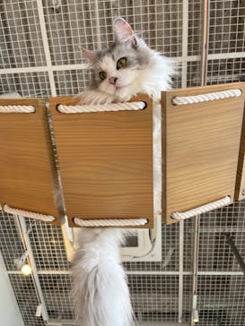 カワスイ 川崎⽔族館に投稿された画像（2022/11/28）