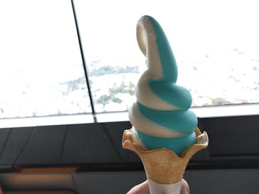 横浜ランドマークタワー 69階展望フロア スカイガーデンに投稿された画像（2022/11/28）