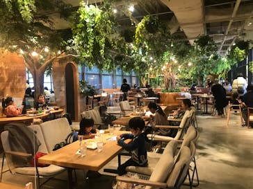 カワスイ 川崎⽔族館に投稿された画像（2022/11/28）