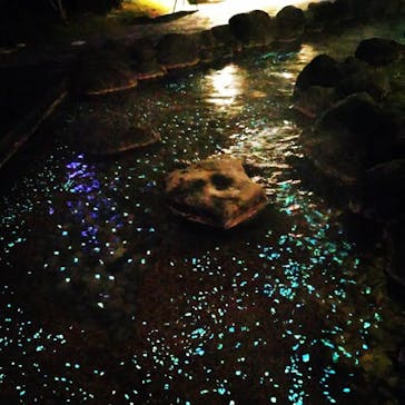 大江戸温泉物語 浦安万華郷に投稿された画像（2022/11/28）