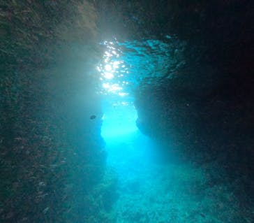 DIVING-SHOP SUNSに投稿された画像（2022/11/28）