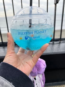 新江ノ島水族館に投稿された画像（2022/11/28）