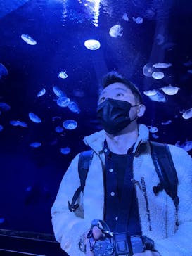 サンシャイン水族館に投稿された画像（2022/11/28）