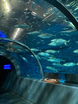 登別マリンパークニクスに投稿された画像（2022/11/28）