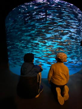 登別マリンパークニクスに投稿された画像（2022/11/28）