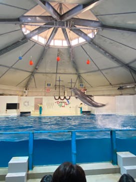 登別マリンパークニクスに投稿された画像（2022/11/28）