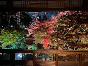 江戸東京たてもの園に投稿された画像（2022/11/28）