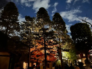 江戸東京たてもの園に投稿された画像（2022/11/28）