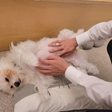 Moff アニマル カフェ イーアス 高尾店に投稿された画像（2022/11/28）