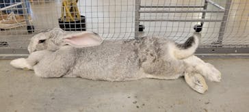 Moff アニマル カフェ イーアス 高尾店に投稿された画像（2022/11/28）