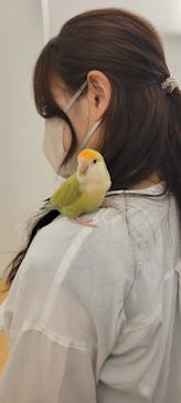 Moff アニマル カフェ イーアス 高尾店に投稿された画像（2022/11/28）