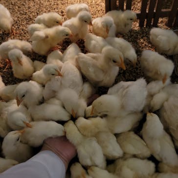 Moff アニマル カフェ イーアス 高尾店に投稿された画像（2022/11/28）