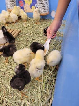 東京あそびマーレに投稿された画像（2022/11/28）