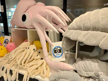 マクセル アクアパーク品川に投稿された画像（2022/11/28）