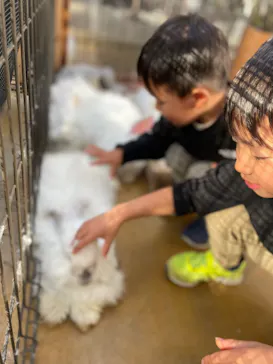 神戸どうぶつ王国に投稿された画像（2022/11/28）