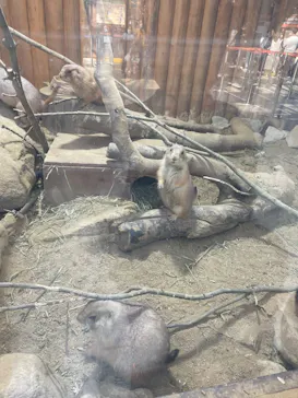 神戸どうぶつ王国に投稿された画像（2022/11/28）