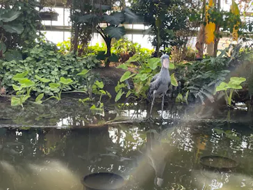 神戸どうぶつ王国に投稿された画像（2022/11/28）