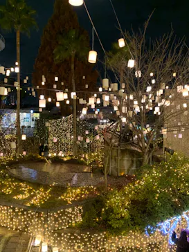 ひらかたパークに投稿された画像（2022/11/28）