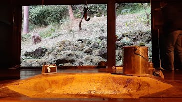 三溪園に投稿された画像（2022/11/28）