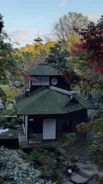 三溪園に投稿された画像（2022/11/28）