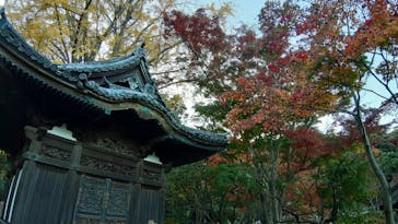 三溪園に投稿された画像（2022/11/28）