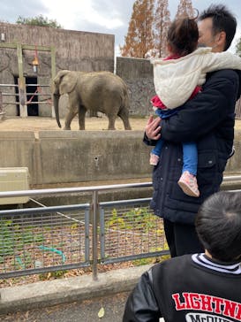 東武動物公園に投稿された画像（2022/11/28）